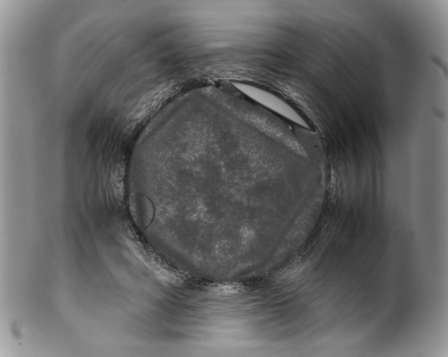 X0000099490402200806051103