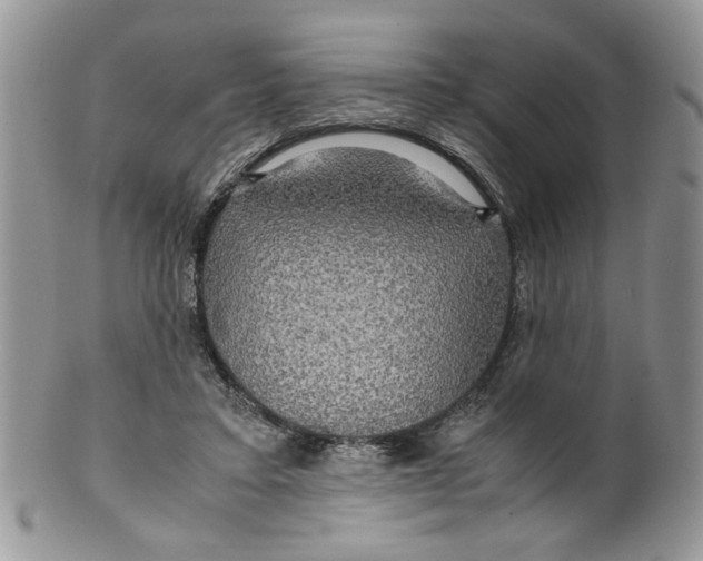 X0000099490403200806051103