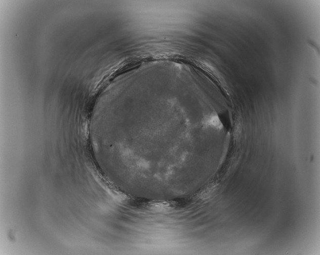 X0000099490405200806051103