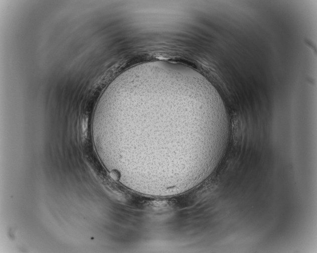 X0000099490406200806051103