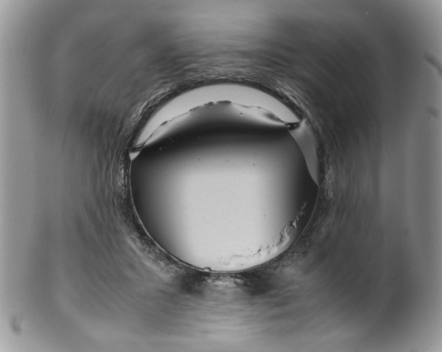 X0000099490407200806051103