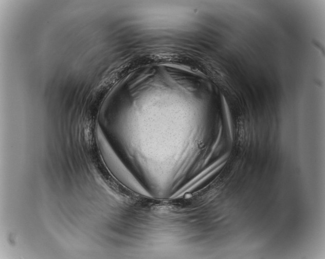 X0000099490408200806051103