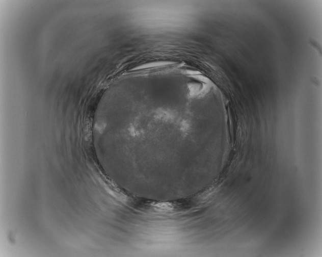 X0000099490409200806051103