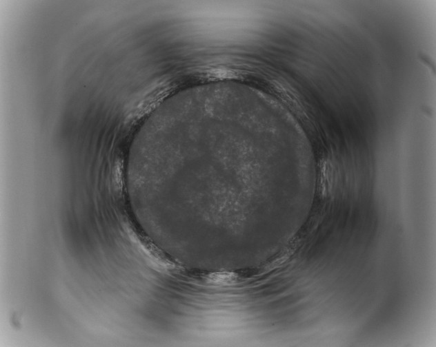 X0000099490410200806051103