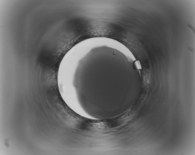 X0000099490411200806051103