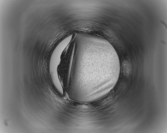 X0000099490412200806051103