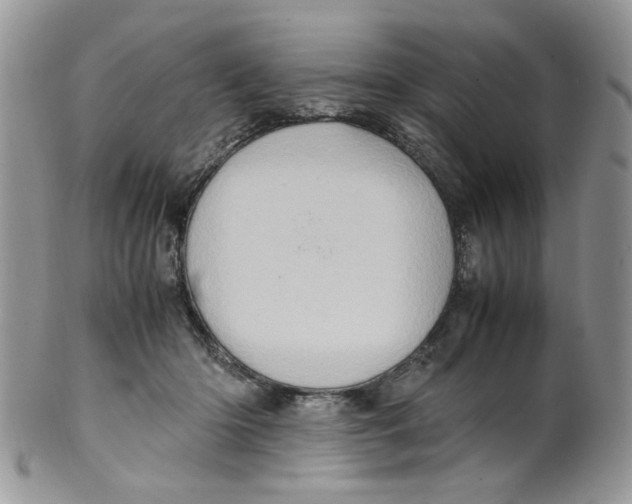 X0000099490414200806051103