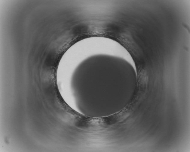 X0000099490415200806051103