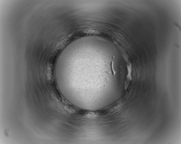 X0000099490416200806051103