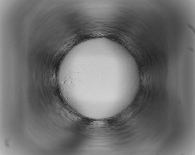 X0000099490418200806051103