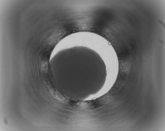 X0000099490419200806051103