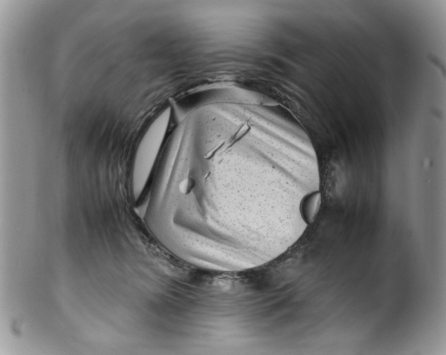 X0000099490420200806051103