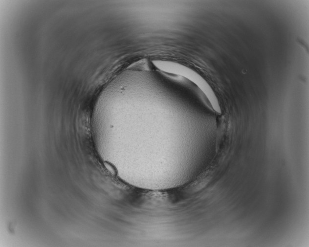 X0000099490421200806051103