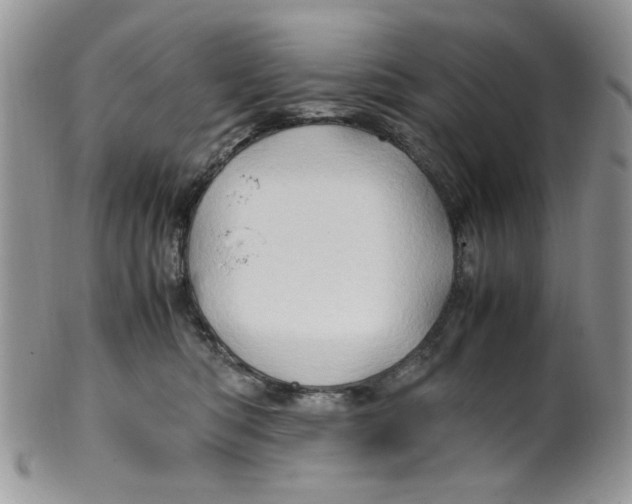 X0000099490422200806051103