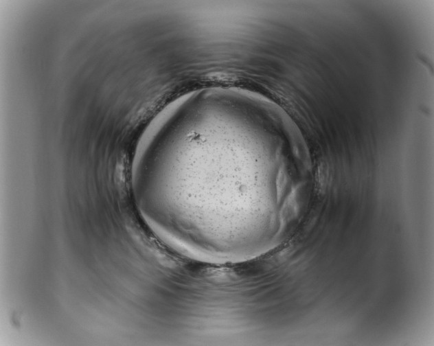 X0000099490424200806051103