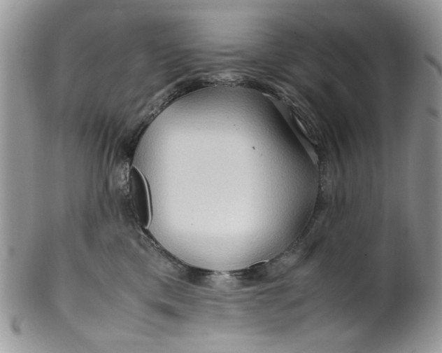 X0000099490425200806051103