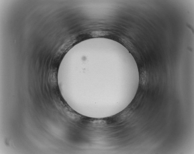 X0000099490426200806051103