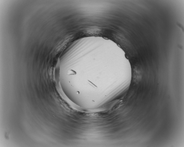 X0000099490428200806051103