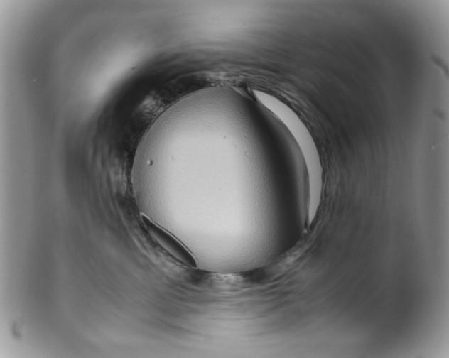 X0000099490429200806051103