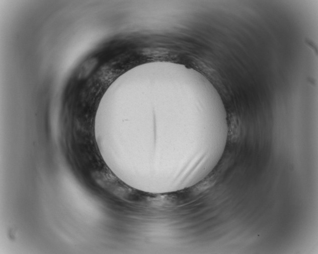 X0000099490430200806051103