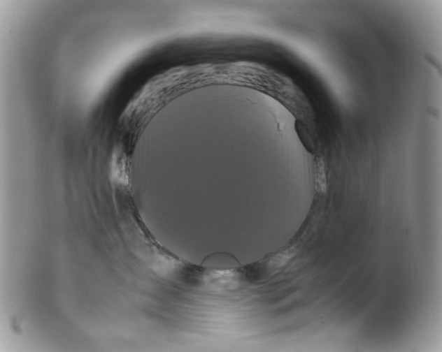 X0000099490431200806051103