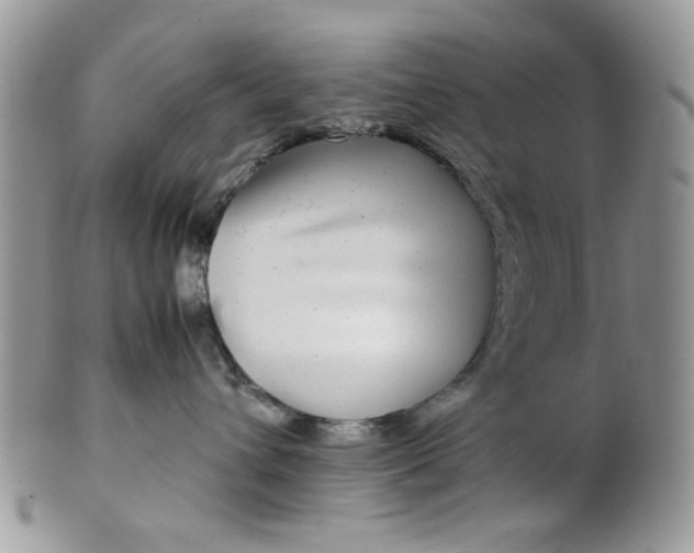 X0000099490432200806051103