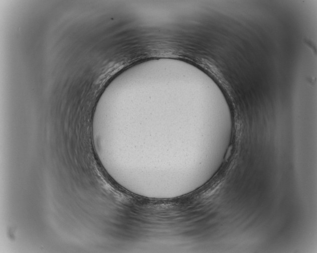 X0000099490433200806051102