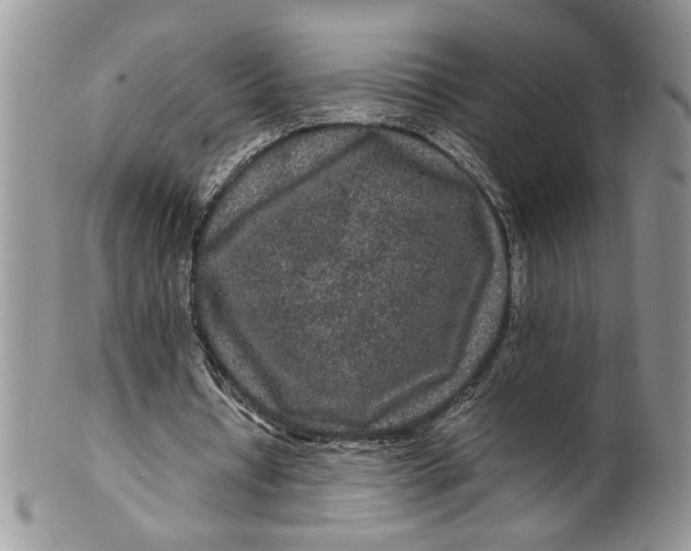 X0000099490434200806051102