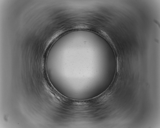 X0000099490435200806051102