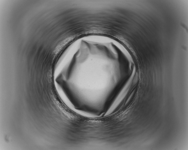 X0000099490437200806051102