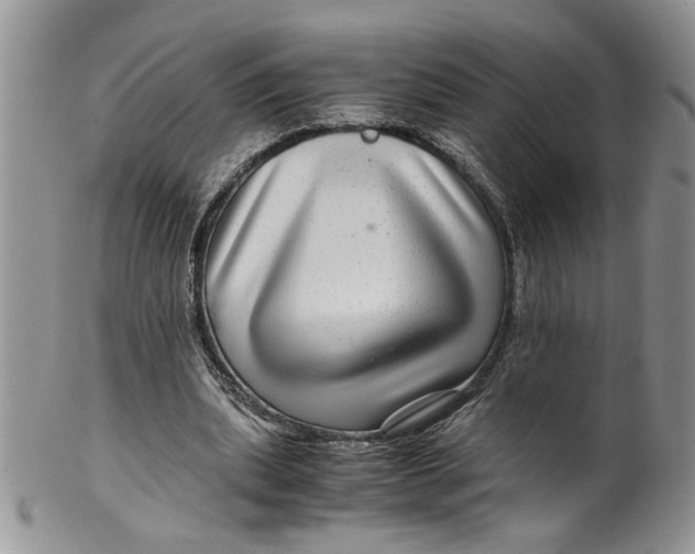 X0000099490439200806051102