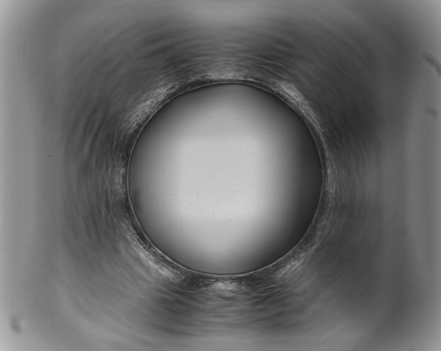 X0000099490441200806051102