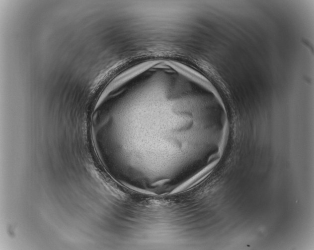 X0000099490442200806051102