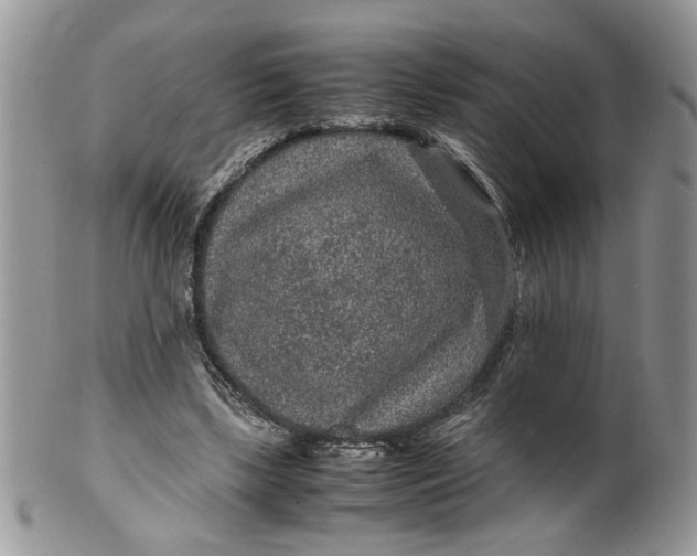 X0000099490443200806051102