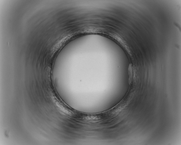 X0000099490445200806051102