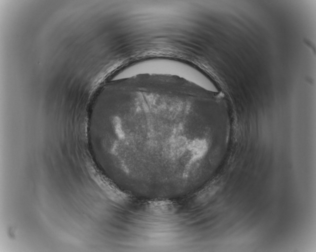 X0000099490446200806051102