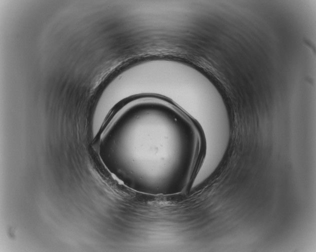 X0000099490448200806051102