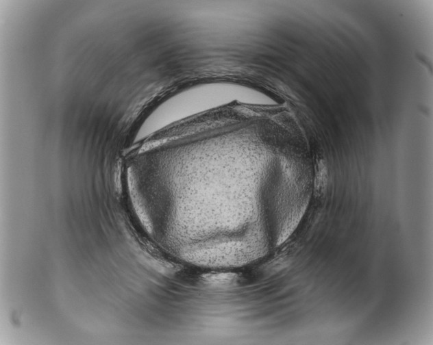 X0000099490452200806051102