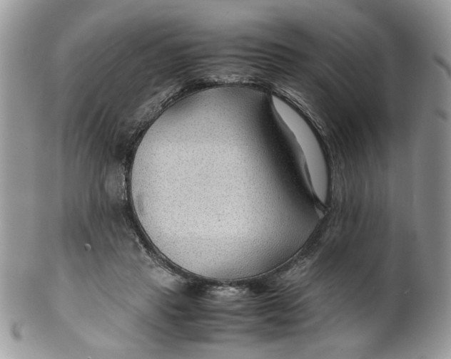 X0000099490453200806051102