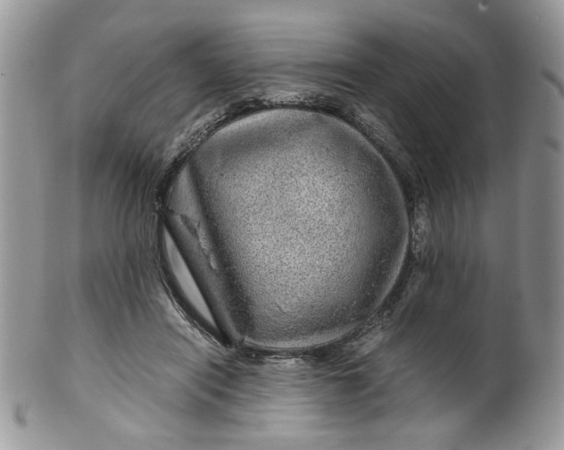 X0000099490454200806051102