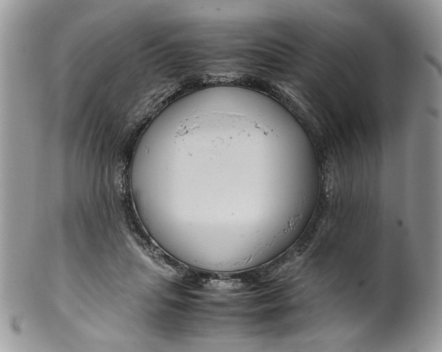 X0000099490455200806051102