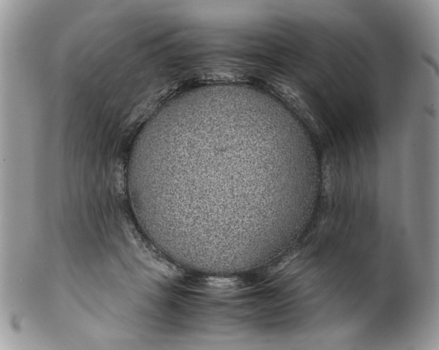 X0000099490457200806051102