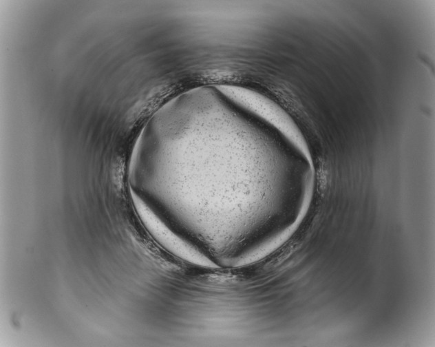 X0000099490458200806051102