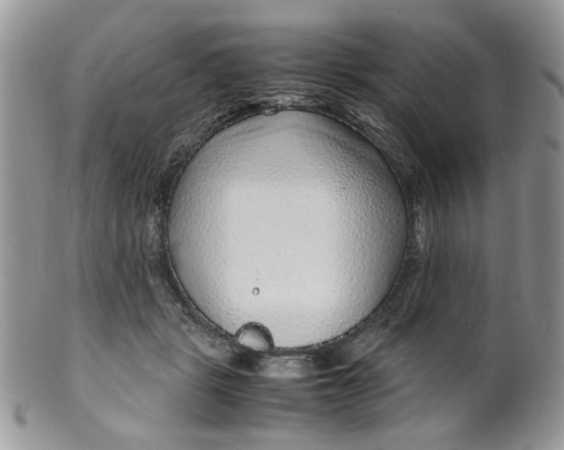 X0000099490461200806051102