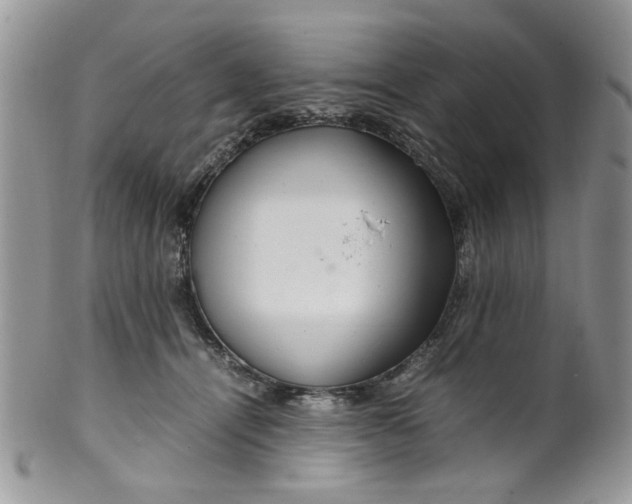 X0000099490464200806051103