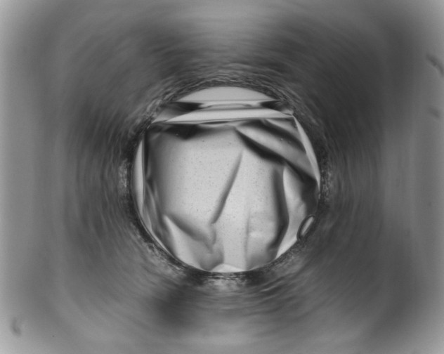 X0000099490466200806051103