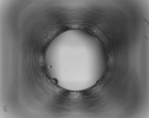 X0000099490469200806051103