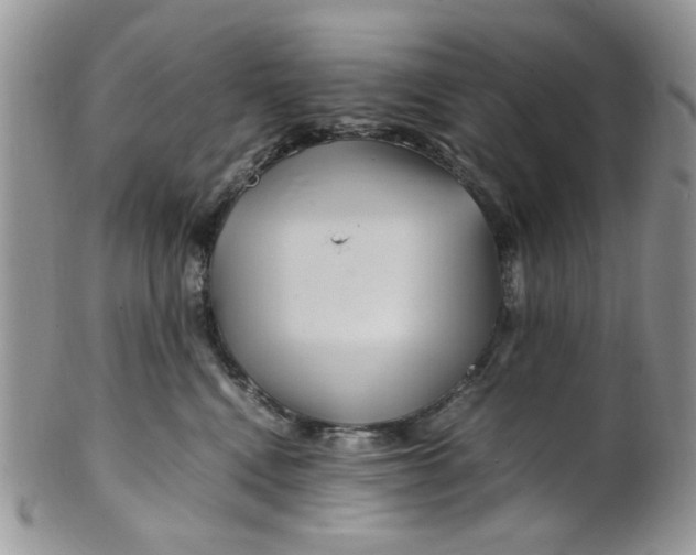 X0000099490472200806051103