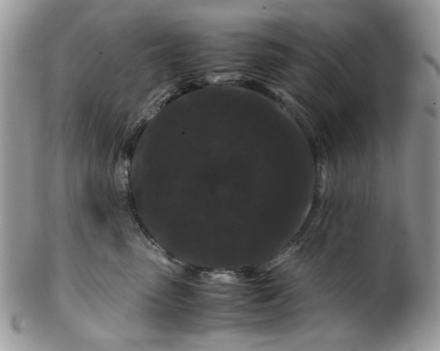 X0000099490475200806051103