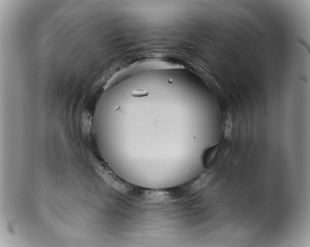 X0000099490476200806051103